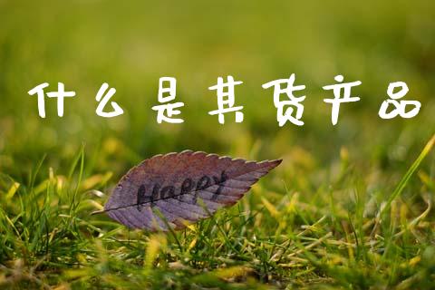 什么是其货产品_期货如何开户_第1张_期货如何开户_期货保证金_期货保证金计算_股指期货保证金 什么是其货产品_https://m.fsyjjx.cn_期货如何开户_第1张