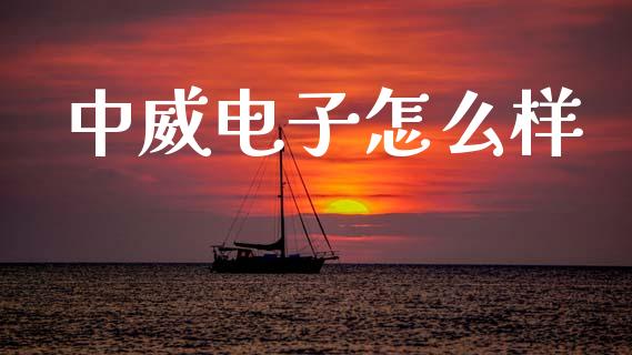 中威电子怎么样_https://m.fsyjjx.cn_期货保证金_第1张