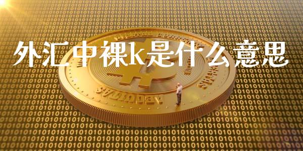 外汇中裸k是什么意思_https://m.fsyjjx.cn_期货保证金计算_第1张