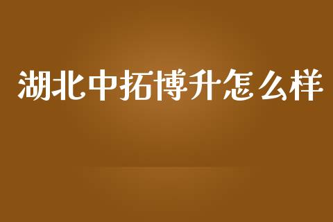 湖北中拓博升怎么样_https://m.fsyjjx.cn_股指期货保证金_第1张
