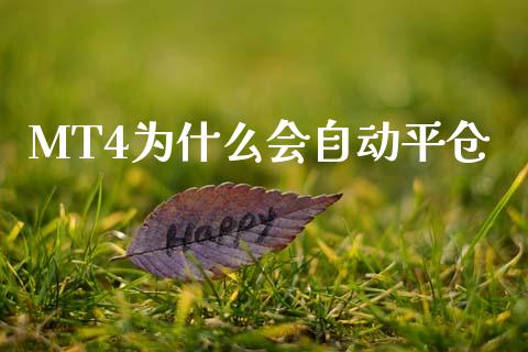 MT4为什么会自动平仓_https://m.fsyjjx.cn_期货如何开户_第1张