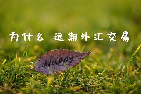 为什么 远期外汇交易_https://m.fsyjjx.cn_期货保证金_第1张