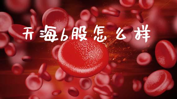 天海b股怎么样_https://m.fsyjjx.cn_股指期货保证金_第1张