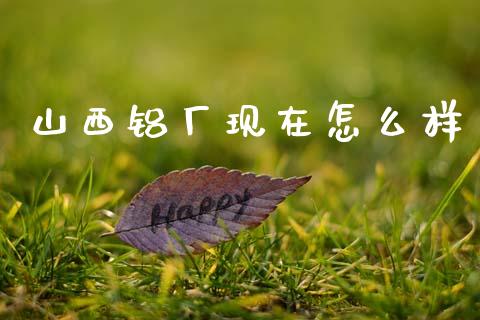 山西铝厂现在怎么样_https://m.fsyjjx.cn_期货如何开户_第1张