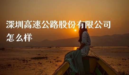 深圳高速公路股份有限公司怎么样_https://m.fsyjjx.cn_股指期货保证金_第1张
