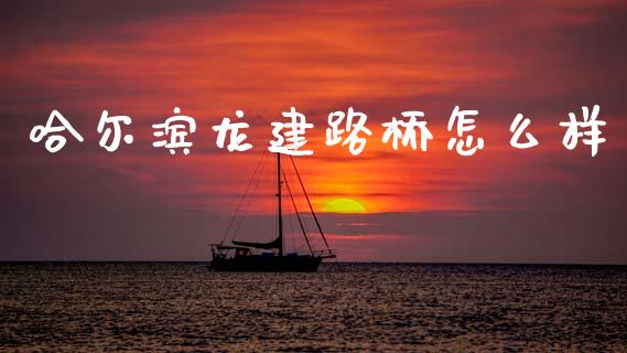 哈尔滨龙建路桥怎么样_https://m.fsyjjx.cn_股指期货保证金_第1张