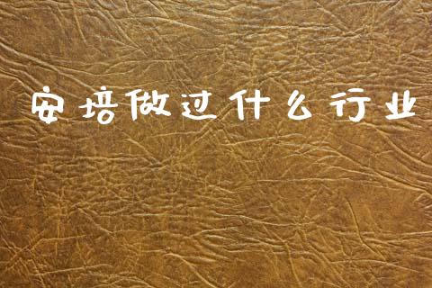 安培做过什么行业_https://m.fsyjjx.cn_期货保证金计算_第1张