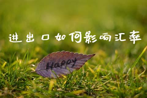 进出口如何影响汇率_https://m.fsyjjx.cn_股指期货保证金_第1张