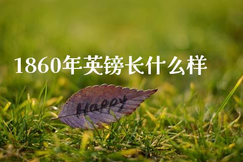 1860年英镑长什么样_https://m.fsyjjx.cn_期货如何开户_第1张