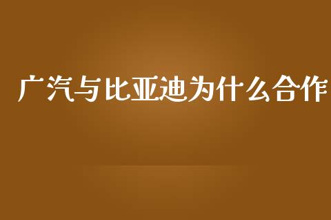 广汽与比亚迪为什么合作_https://m.fsyjjx.cn_期货如何开户_第1张