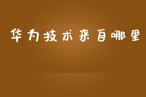 华为技术来自哪里_https://m.fsyjjx.cn_期货如何开户_第1张