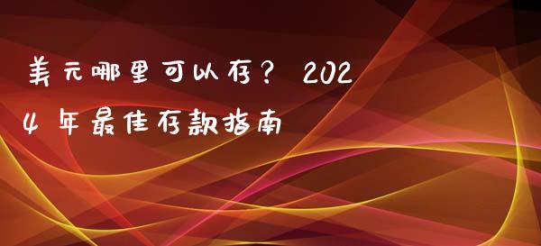 美元哪里可以存？ 2024 年最佳存款指南_https://m.fsyjjx.cn_股指期货保证金_第1张