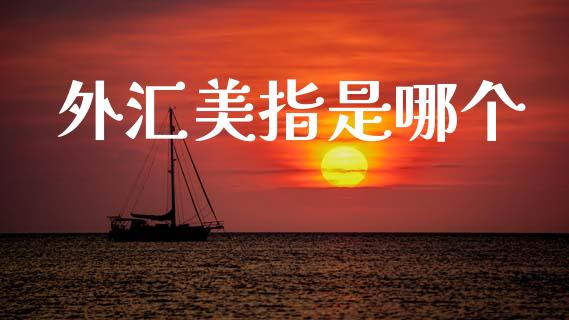 外汇美指是哪个_https://m.fsyjjx.cn_期货如何开户_第1张
