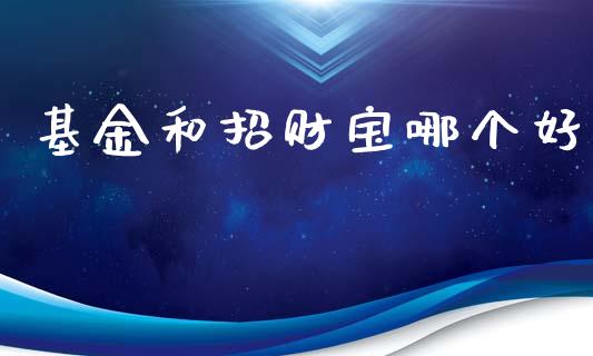 基金和招财宝哪个好_https://m.fsyjjx.cn_期货如何开户_第1张