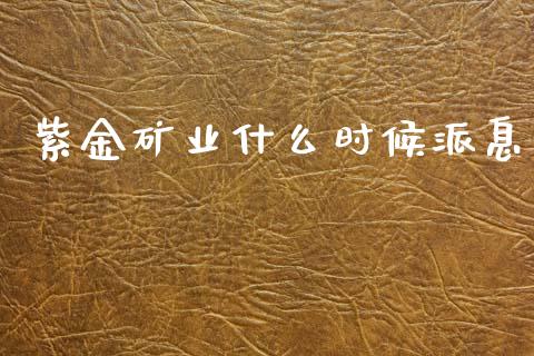 紫金矿业什么时候派息_https://m.fsyjjx.cn_期货保证金_第1张