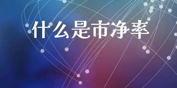 什么是市净率_https://m.fsyjjx.cn_期货保证金_第1张