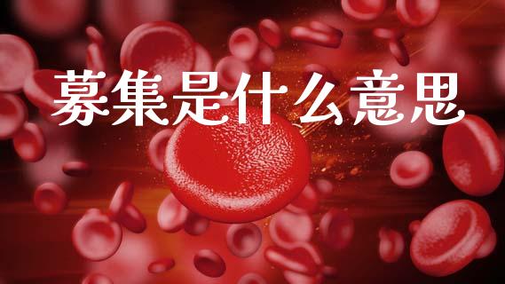 募集是什么意思_https://m.fsyjjx.cn_期货如何开户_第1张
