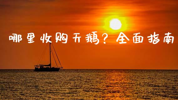 哪里收购天鹅？全面指南_https://m.fsyjjx.cn_期货保证金计算_第1张