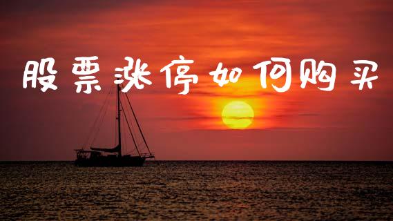 股票涨停如何购买_https://m.fsyjjx.cn_期货保证金计算_第1张