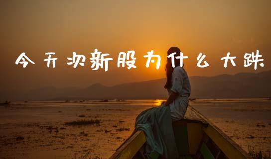 今天次新股为什么大跌_https://m.fsyjjx.cn_期货保证金_第1张