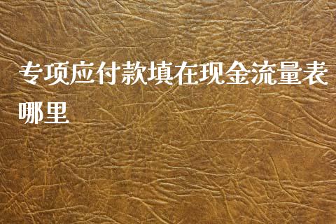 专项应付款填在现金流量表哪里_https://m.fsyjjx.cn_股指期货保证金_第1张