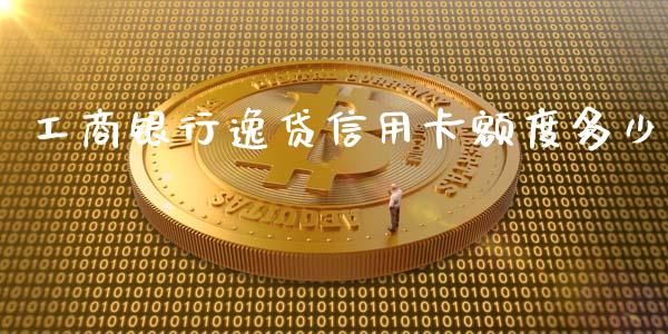 工商银行逸贷信用卡额度多少_https://m.fsyjjx.cn_股指期货保证金_第1张