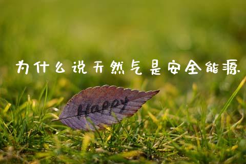 为什么说天然气是安全能源_https://m.fsyjjx.cn_期货保证金计算_第1张