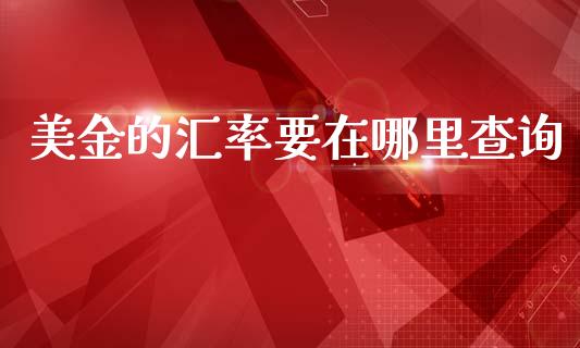 美金的汇率要在哪里查询_https://m.fsyjjx.cn_期货保证金计算_第1张