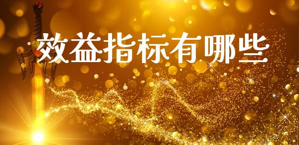 效益指标有哪些_https://m.fsyjjx.cn_期货保证金计算_第1张