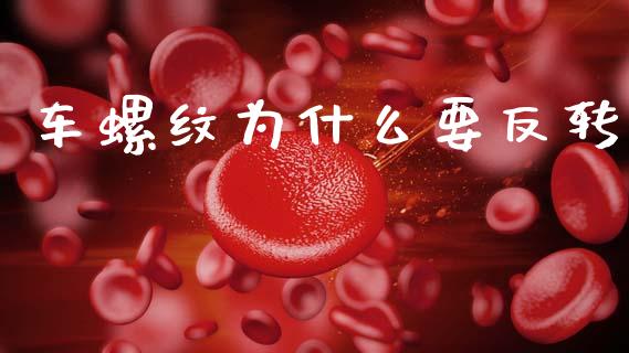 车螺纹为什么要反转_https://m.fsyjjx.cn_期货保证金_第1张