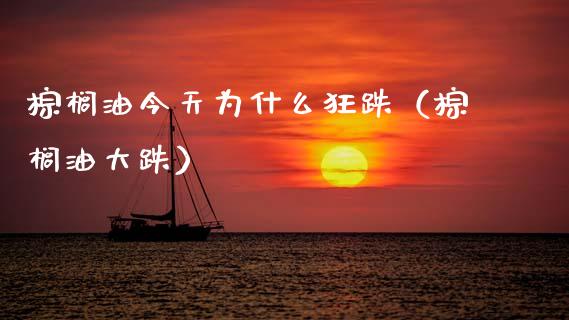棕榈油今天为什么狂跌（棕榈油大跌）_https://m.fsyjjx.cn_期货保证金计算_第1张
