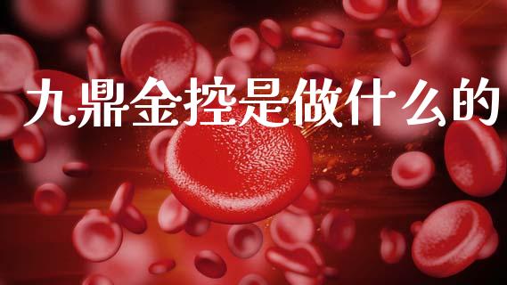 九鼎金控是做什么的_https://m.fsyjjx.cn_期货如何开户_第1张