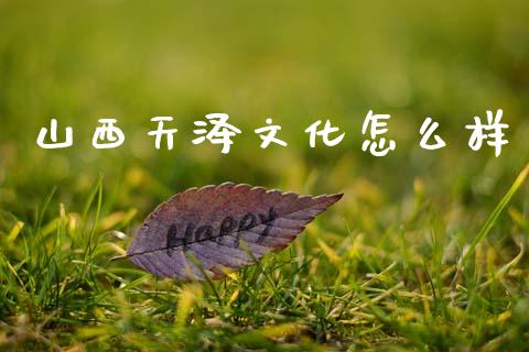 山西天泽文化怎么样_https://m.fsyjjx.cn_股指期货保证金_第1张