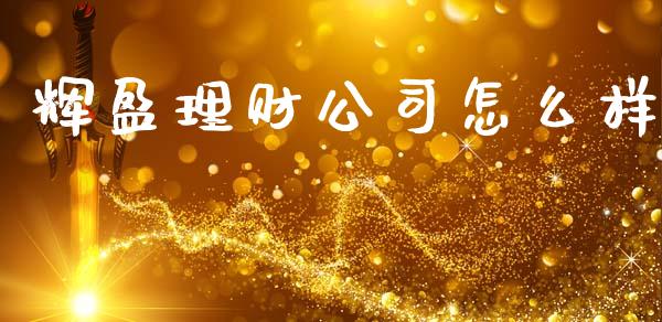 辉盈理财公司怎么样_https://m.fsyjjx.cn_期货保证金计算_第1张