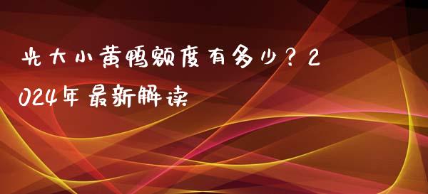 光大小黄鸭额度有多少？2024年最新解读_https://m.fsyjjx.cn_期货保证金_第1张