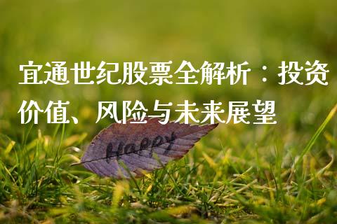 宜通世纪股票全解析：投资价值、风险与未来展望_https://m.fsyjjx.cn_期货如何开户_第1张