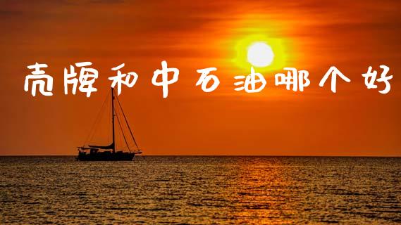 壳牌和中石油哪个好_https://m.fsyjjx.cn_股指期货保证金_第1张
