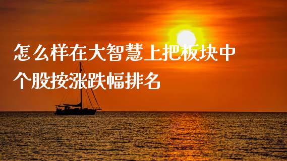 怎么样在大智慧上把板块中个股按涨跌幅排名_https://m.fsyjjx.cn_期货保证金计算_第1张