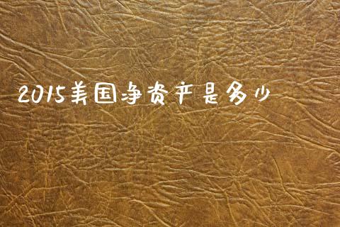 2015美国净资产是多少_https://m.fsyjjx.cn_期货保证金计算_第1张
