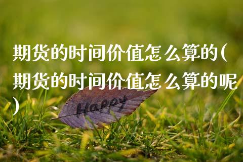 期货的时间价值怎么算的(期货的时间价值怎么算的呢)_https://m.fsyjjx.cn_期货保证金计算_第1张