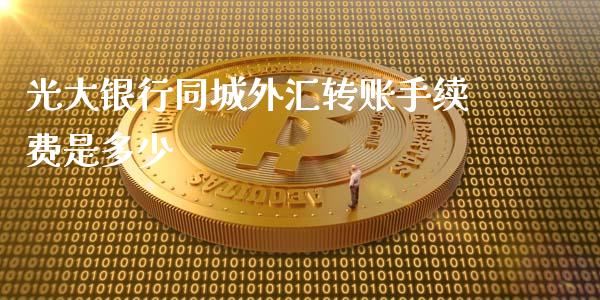 光大银行同城外汇转账手续费是多少_https://m.fsyjjx.cn_期货保证金计算_第1张