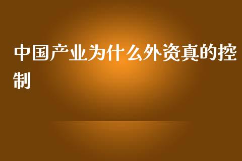 中国产业为什么外资真的控制_https://m.fsyjjx.cn_期货保证金_第1张