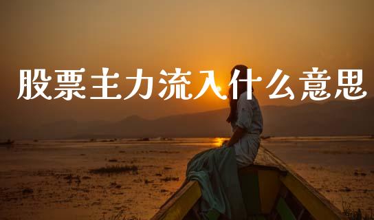 股票主力流入什么意思_https://m.fsyjjx.cn_股指期货保证金_第1张