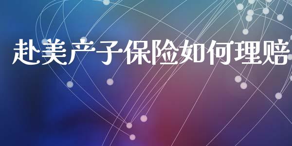 赴美产子保险如何理赔_https://m.fsyjjx.cn_期货保证金_第1张
