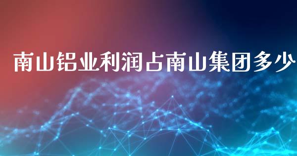 南山铝业利润占南山集团多少_https://m.fsyjjx.cn_股指期货保证金_第1张