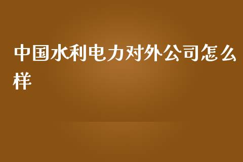 中国水利电力对外公司怎么样_https://m.fsyjjx.cn_期货保证金计算_第1张