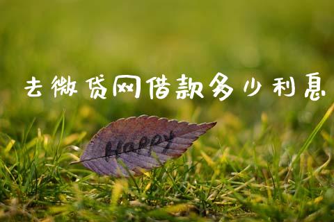 去微贷网借款多少利息_https://m.fsyjjx.cn_期货保证金计算_第1张