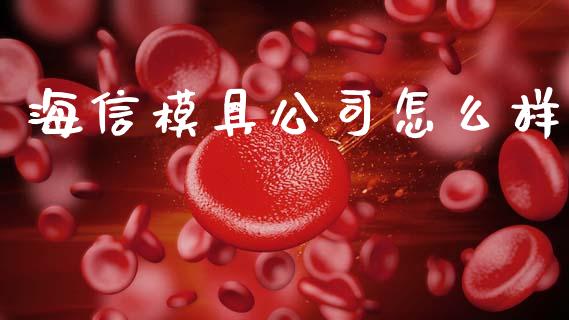 海信模具公司怎么样_https://m.fsyjjx.cn_股指期货保证金_第1张