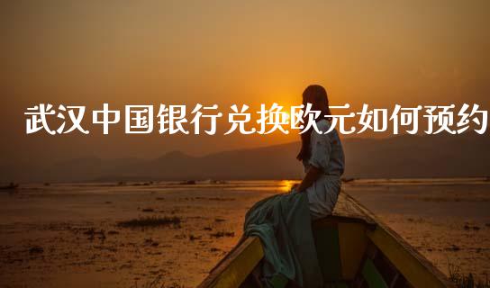 武汉中国银行兑换欧元如何预约_https://m.fsyjjx.cn_期货保证金_第1张