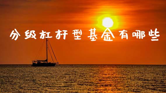 分级杠杆型基金有哪些_https://m.fsyjjx.cn_期货保证金计算_第1张